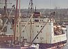 Russian_Fisch 01
